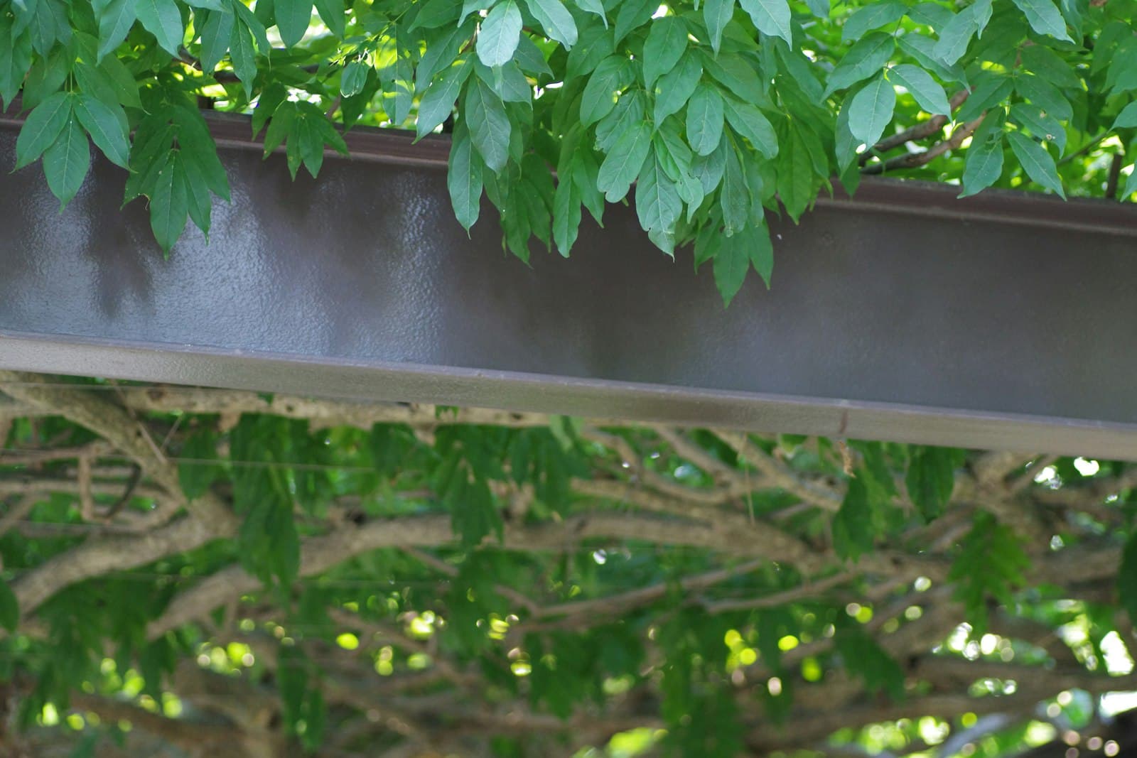 Beautiful outdoor smoking spot with greenery